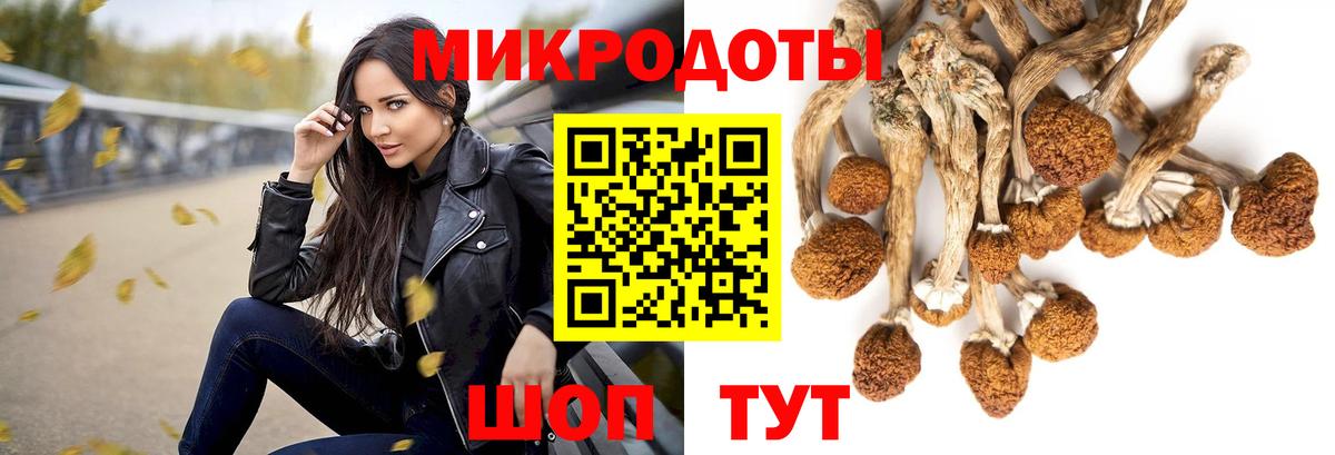 Галлюциногенные грибы Magic Shrooms Шали