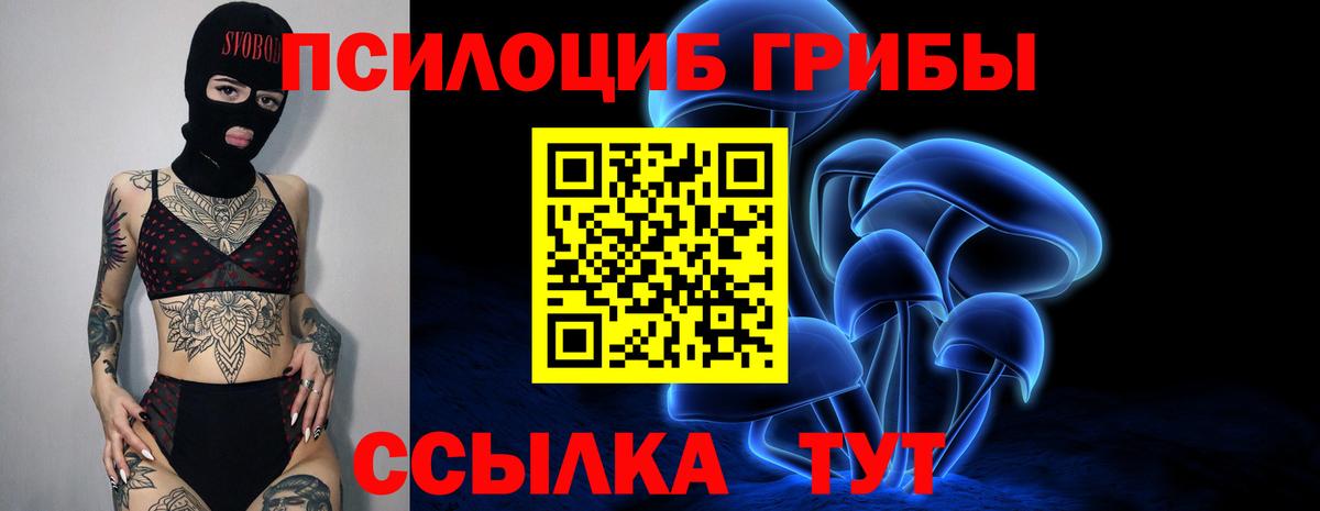 Галлюциногенные грибы Cubensis  Вход с VPN  Галлюциногенные грибы Psilocybine cubensis  Шали 